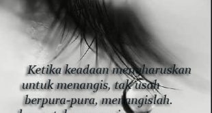 dp wa terbaru