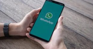 Last Seen Whatsapp