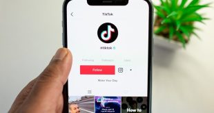 download tiktok tanpa watermark